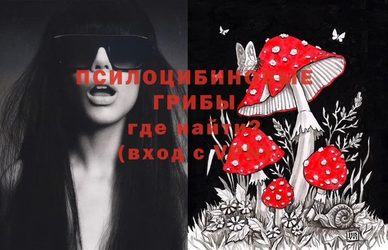 Псилоцибиновые грибы Cubensis  Миллерово 